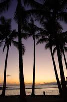 praia de waikiki, honolulu, oahu, havaí foto
