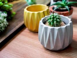 plantadores geométricos coloridos. plantadores de concreto pintado para decoração de casa foto