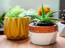 plantadores geométricos coloridos. plantadores de concreto pintado para decoração de casa foto