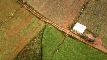 uma vista aérea da área agrícola foto