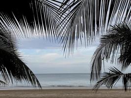 folhas de palmeira de coco no fundo da vista para o mar foto