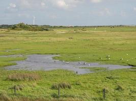 a ilha de spiekeroog na alemanha foto