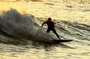 surfista de silhueta ao pôr do sol foto