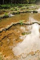 semuc champey guatemala foto