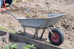 carrinho de mão de jardim cheio de terra ou composto na fazenda. limpeza sazonal do jardim antes do outono. na rua. carrinho de mão monociclo de metal de jardim cheio de ervas daninhas e galhos. foto