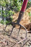 garfo com cabo vermelho para compostagem, reciclagem de resíduos de grama e jardim. garfos presos no composto. fazendo e misturando composto no quintal. fertilizante orgânico para plantas de jardim. foto