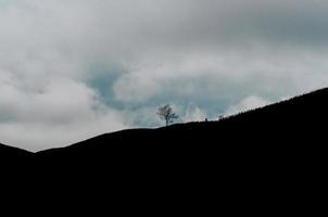 uma silhueta de uma única árvore no topo da montanha com nuvens e céu azul. foto