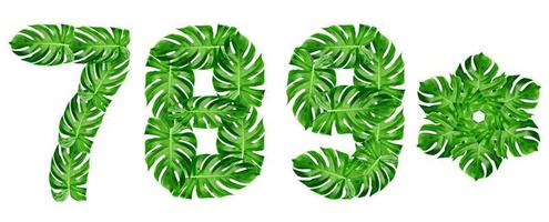 padrão de folhas verdes, alfabeto de fonte 7,8,9,0 de folha monstera isolado no fundo branco foto