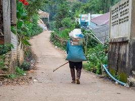 vista traseira da mulher carrega uma cesta enorme nas costas na rua da zona rural. foto