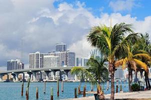 vista tropical da cidade de miami foto