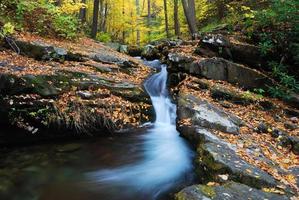 riacho de montanha de outono foto