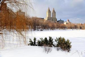 cidade de nova york manhattan central park no inverno foto