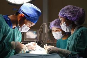 grupo de cirurgia veterinária na sala de operação