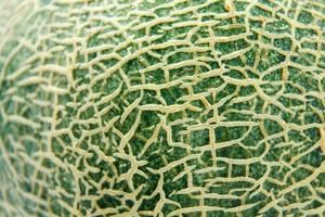 close-up de casca de melão cantalupo foto