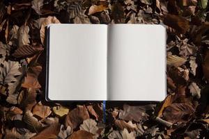 folhas de outono e caderno vazio