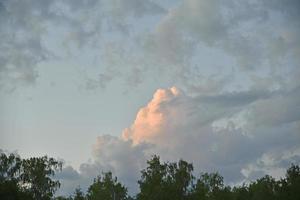 horizonte da floresta à noite com nuvens cor de rosa trovejantes foto