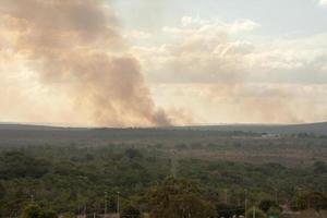 fogo nas savanas ao norte de brasilia, brasil, uma ocorrência comum durante a estação seca foto