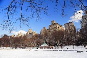 cidade de nova york manhattan central park no inverno foto