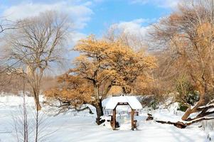 cidade de nova york manhattan central park no inverno foto