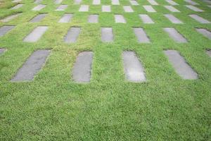 os tijolos de cimento entre o fundo da grama verde. grama e pavimento de cimento. foto