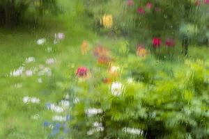 pano de fundo borrado. jardim de verão ensolarado com grama verde, bela luz do sol e gotas de água blured foto