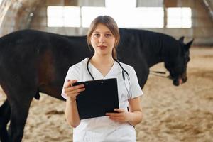 segurando o bloco de notas com os resultados do check-up. médica de jaleco branco está com cavalo em um estábulo foto