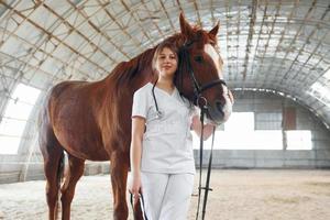 sorrindo e posando para a câmera. de pé juntos. médica de jaleco branco está com cavalo em um estábulo foto