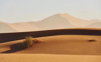 horizonte está longe. vista majestosa de paisagens incríveis no deserto africano foto