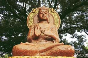 cabeça da estátua de Buda. grande parte da cabeça dourada da estátua de buda na tailândia. foto