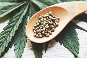 sementes de maconha na colher de pau e folha de maconha no fundo de madeira - sementes de cannabis cânhamo médico foto