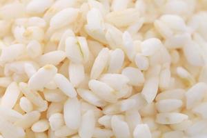 close-up de arroz.