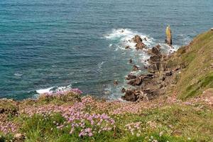 costa rochosa selvagem perto de thurlestone em devon foto