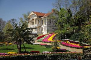 tulipas coloridas no parque emirgan, istambul, turquia foto