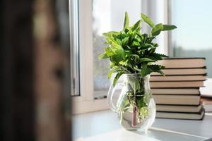buquê de ervas verdes em um vaso de vidro e livros no parapeito da janela. verduras frescas em um jarro transparente, conceito de manhã aconchegante foto