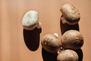 champignons de cogumelos reais em fundo bege. comida vegetariana. refeição rica em proteínas. cogumelos marrons cultivados crus inteiros. foco seletivo, luz direta foto