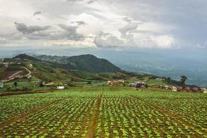 paisagem da área agrícola na montanha, na tailândia foto