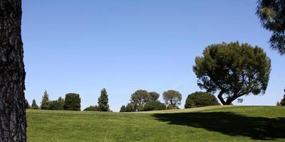 los angeles, 16 de abril - o campo de golfe à beira do lago chega ao torneio de golfe jack wagner da sociedade de leucemia e linfoma no campo de golfe à beira do lago em 16 de abril de 2012 no lago toluca, ca foto