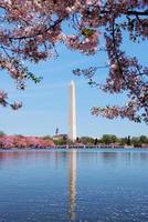 vista de Washington DC foto