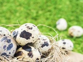 pequenos ovos em um ninho de pássaro sobre fundo de grama verde foto