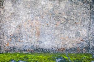 textura de parede de cimento velha com verde mos para uso em segundo plano foto