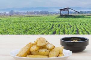 batatas fritas e molho na mesa de madeira branca com fundo verde campo agrícola foto