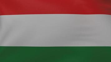 textura da bandeira da Hungria foto