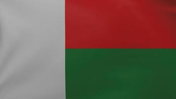 textura de bandeira de madagascar foto