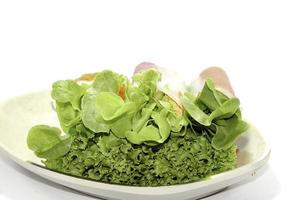 salada de rolo é um alimento saudável para pessoas que cuidam do corpo. tem principalmente verduras orgânicas em um fundo branco. foto