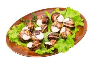 caracóis escargot em um prato foto