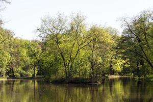 parque de verão, árvores foto