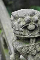 estátua do leão chinês foto
