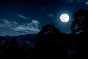 paisagem noturna em fprest com lua cheia e nuvens foto