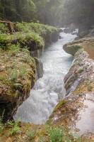 semuc champey guatemala foto