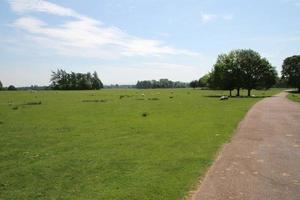 uma vista da zona rural de cheshire perto de knutsford no verão foto